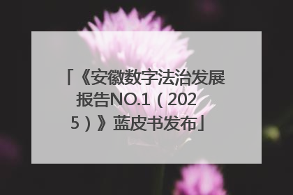 《安徽数字法治发展报告NO.1（2025）》蓝皮书发布