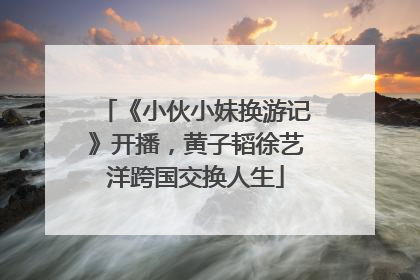 《小伙小妹换游记》开播，黄子韬徐艺洋跨国交换人生