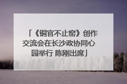 《铜官不止窑》创作交流会在长沙政协同心园举行 陈刚出席