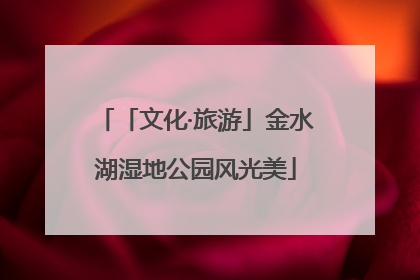「文化·旅游」金水湖湿地公园风光美