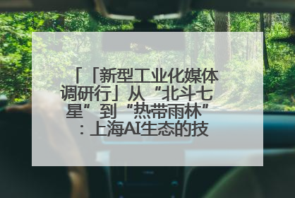 「新型工业化媒体调研行」从“北斗七星”到“热带雨林”：上海AI生态的技术商业共生密码