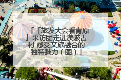 「旅发大会看青原」采访团走进渼陂古村 感受文旅融合的独特魅力（图）