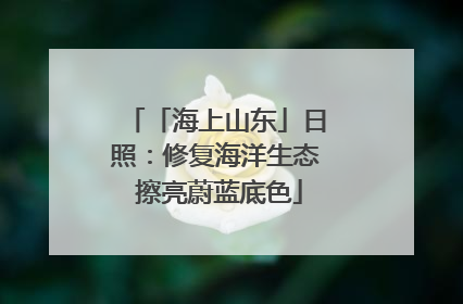 「海上山东」日照：修复海洋生态 擦亮蔚蓝底色