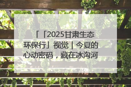 「2025甘肃生态环保行」视觉｜今夏的心动密码，藏在冰沟河的潋滟波光里