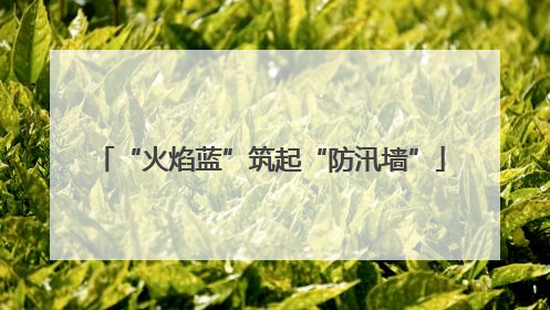 “火焰蓝”筑起“防汛墙”