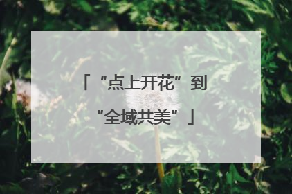 “点上开花”到“全域共美”