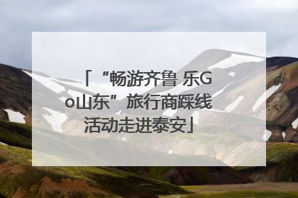 “畅游齐鲁 乐Go山东”旅行商踩线活动走进泰安