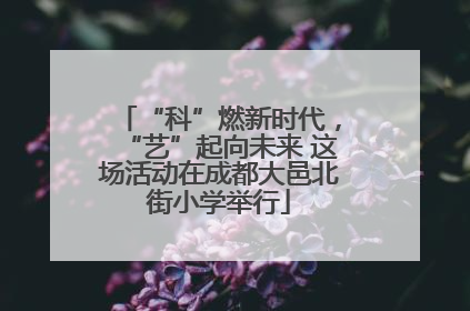 “科”燃新时代，“艺”起向未来 这场活动在成都大邑北街小学举行
