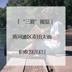 “三夏”视觉｜黄河滩区麦田大面积收割开启