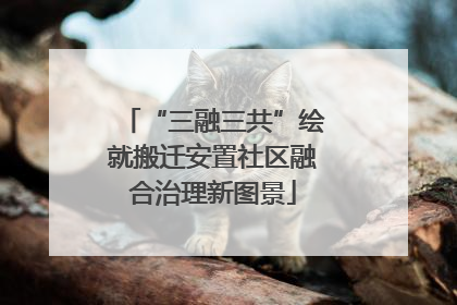 “三融三共”绘就搬迁安置社区融合治理新图景