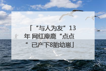 “与人为友”13年 网红麋鹿“点点”已产下8胎幼崽