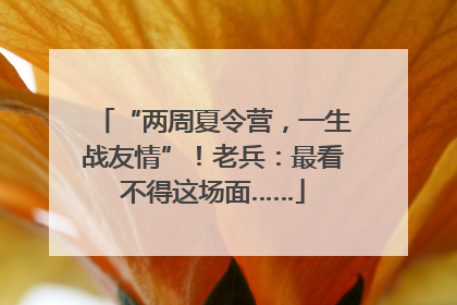 “两周夏令营，一生战友情”！老兵：最看不得这场面……