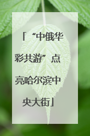 “中俄华彩共游”点亮哈尔滨中央大街