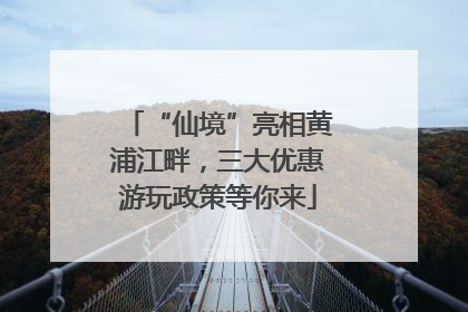 “仙境”亮相黄浦江畔，三大优惠游玩政策等你来
