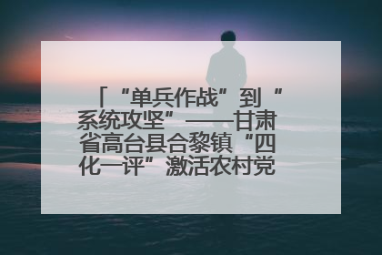 “单兵作战”到“系统攻坚”——甘肃省高台县合黎镇“四化一评”激活农村党员管理新引擎