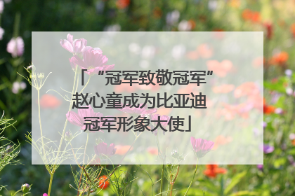 “冠军致敬冠军” 赵心童成为比亚迪冠军形象大使