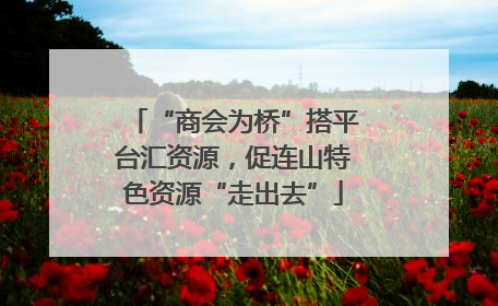 “商会为桥”搭平台汇资源，促连山特色资源“走出去”