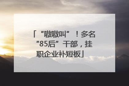 “嗷嗷叫”！多名“85后”干部，挂职企业补短板