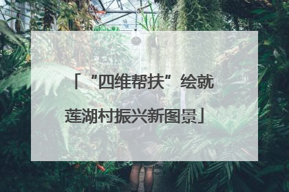 “四维帮扶”绘就莲湖村振兴新图景