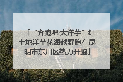 “奔跑吧·大洋芋”红土地洋芋花海越野跑在昆明市东川区热力开跑