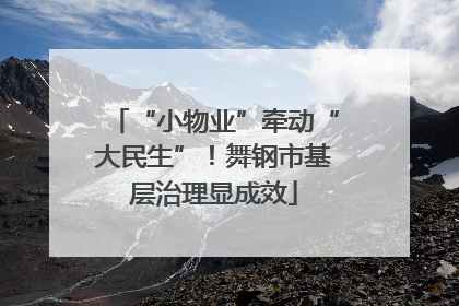 “小物业”牵动“大民生”！舞钢市基层治理显成效