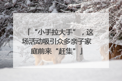 “小手拉大手”，这场活动吸引众多亲子家庭前来“赶集”