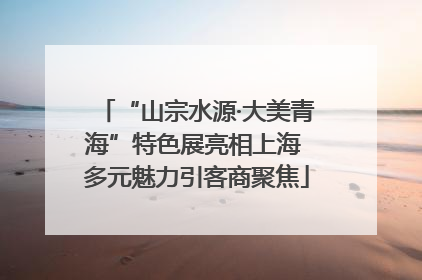 “山宗水源·大美青海”特色展亮相上海 多元魅力引客商聚焦