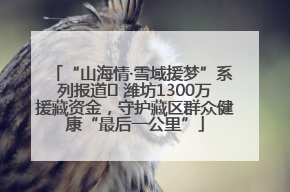 “山海情·雪域援梦”系列报道⑪ 潍坊1300万援藏资金，守护藏区群众健康“最后一公里”