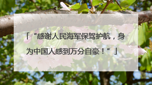 “感谢人民海军保驾护航,身为中国人感到万分自豪!”