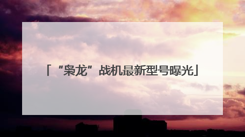 “枭龙”战机最新型号曝光
