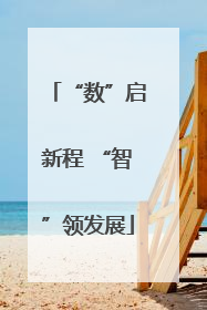 “数”启新程 “智”领发展