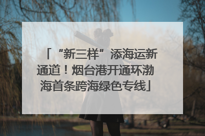 “新三样”添海运新通道！烟台港开通环渤海首条跨海绿色专线