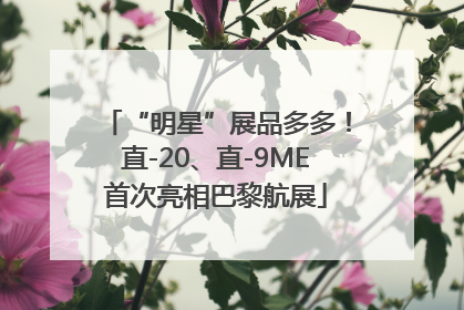 “明星”展品多多！直-20、直-9ME首次亮相巴黎航展