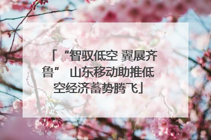“智驭低空 翼展齐鲁” 山东移动助推低空经济蓄势腾飞