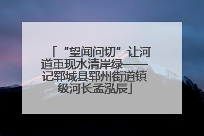 “望闻问切”让河道重现水清岸绿——记郓城县郓州街道镇级河长孟泓辰