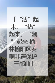 “活”起来、“热”起来、“潮”起来 榆林榆阳区奏响非遗保护三部曲