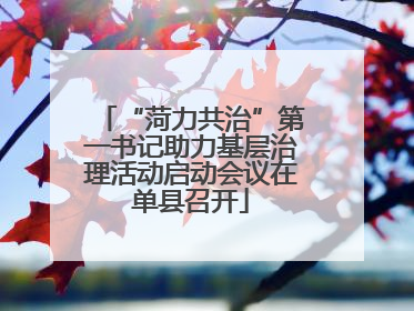 “菏力共治”第一书记助力基层治理活动启动会议在单县召开