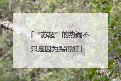 “苏超”的热闹不只是因为踢得好