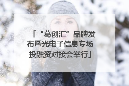“葛创汇”品牌发布暨光电子信息专场投融资对接会举行