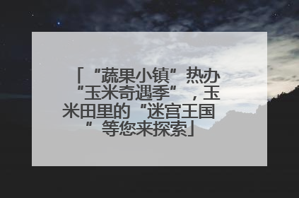“蔬果小镇”热办“玉米奇遇季”，玉米田里的“迷宫王国”等您来探索