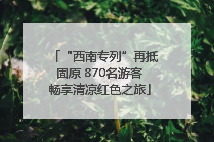 “西南专列”再抵固原 870名游客畅享清凉红色之旅