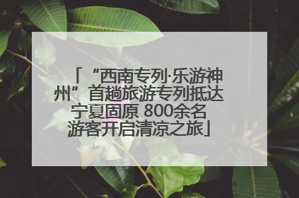 “西南专列·乐游神州”首趟旅游专列抵达宁夏固原 800余名游客开启清凉之旅