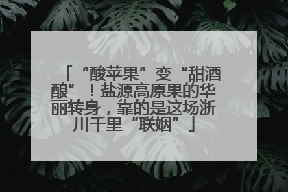 “酸苹果”变“甜酒酿”！盐源高原果的华丽转身，靠的是这场浙川千里“联姻”
