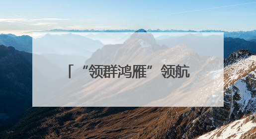 “领群鸿雁”领航边境共治新生态