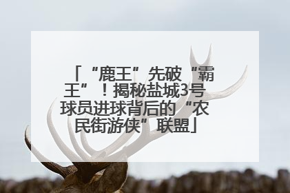 “鹿王”先破“霸王”！揭秘盐城3号球员进球背后的“农民街游侠”联盟