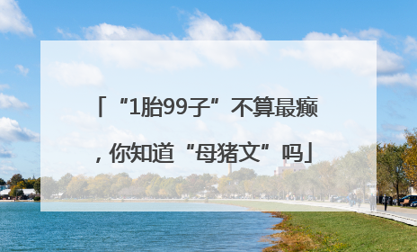 “1胎99子”不算最癫，你知道“母猪文”吗