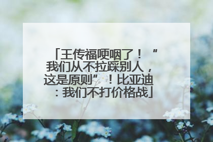 王传福哽咽了！“我们从不拉踩别人，这是原则”！比亚迪：我们不打价格战