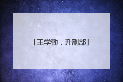 王学勤，升副部