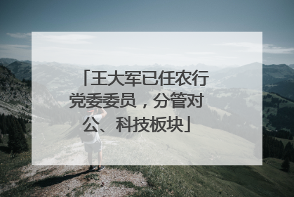 王大军已任农行党委委员，分管对公、科技板块