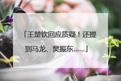 王楚钦回应质疑！还提到马龙、樊振东……